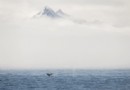 Klimawandel:Extreme Wetterereignisse könnten bis 2050 jedes Jahr auftreten 