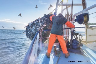 Wie wir die Ozeane retten können und wie sie uns retten können 