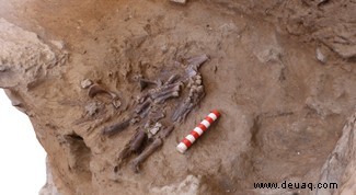 Die Entdeckung des Shanidar-Skeletts wirft Licht auf die „Blumenbestattung“ des Neandertalers 