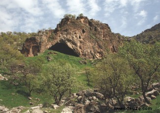 Die Entdeckung des Shanidar-Skeletts wirft Licht auf die „Blumenbestattung“ des Neandertalers 