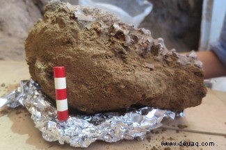 Die Entdeckung des Shanidar-Skeletts wirft Licht auf die „Blumenbestattung“ des Neandertalers 