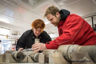 Der antarktische Regenwald sonnte sich einst bei 19°C Sommertemperaturen 