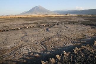 Fossile Fußabdrücke „liefern eine verlockende Momentaufnahme der frühesten Tage der Menschheit“ 