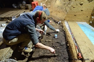 Alte Menschen kamen „viel früher als bisher angenommen“ nach Europa 