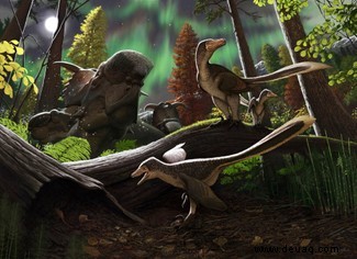 Dromaeosaurid-Dinosaurier „lebten nicht nur in der Arktis, sondern gediehen dort“ 