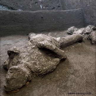 Unglaublich erhaltene Leichen von zwei Männern, die in Pompeji entdeckt wurden 