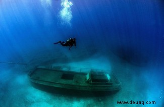 Indoor-Regenbögen und gefleckte Robben:22 erstaunliche Bilder in der Wissenschaft vom Juni 2021 