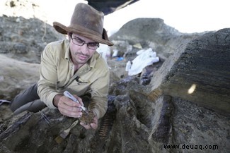 Dinosaurier:Der letzte Tag. Ein genauerer Blick auf die Fossilienfundstelle, die in Attenboroughs neuer Show entdeckt wurde 