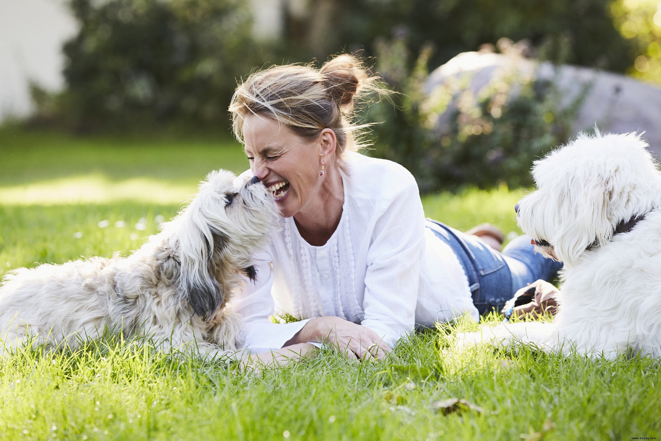 Top-Tipps für die Gestaltung eines hundefreundlichen Gartens 