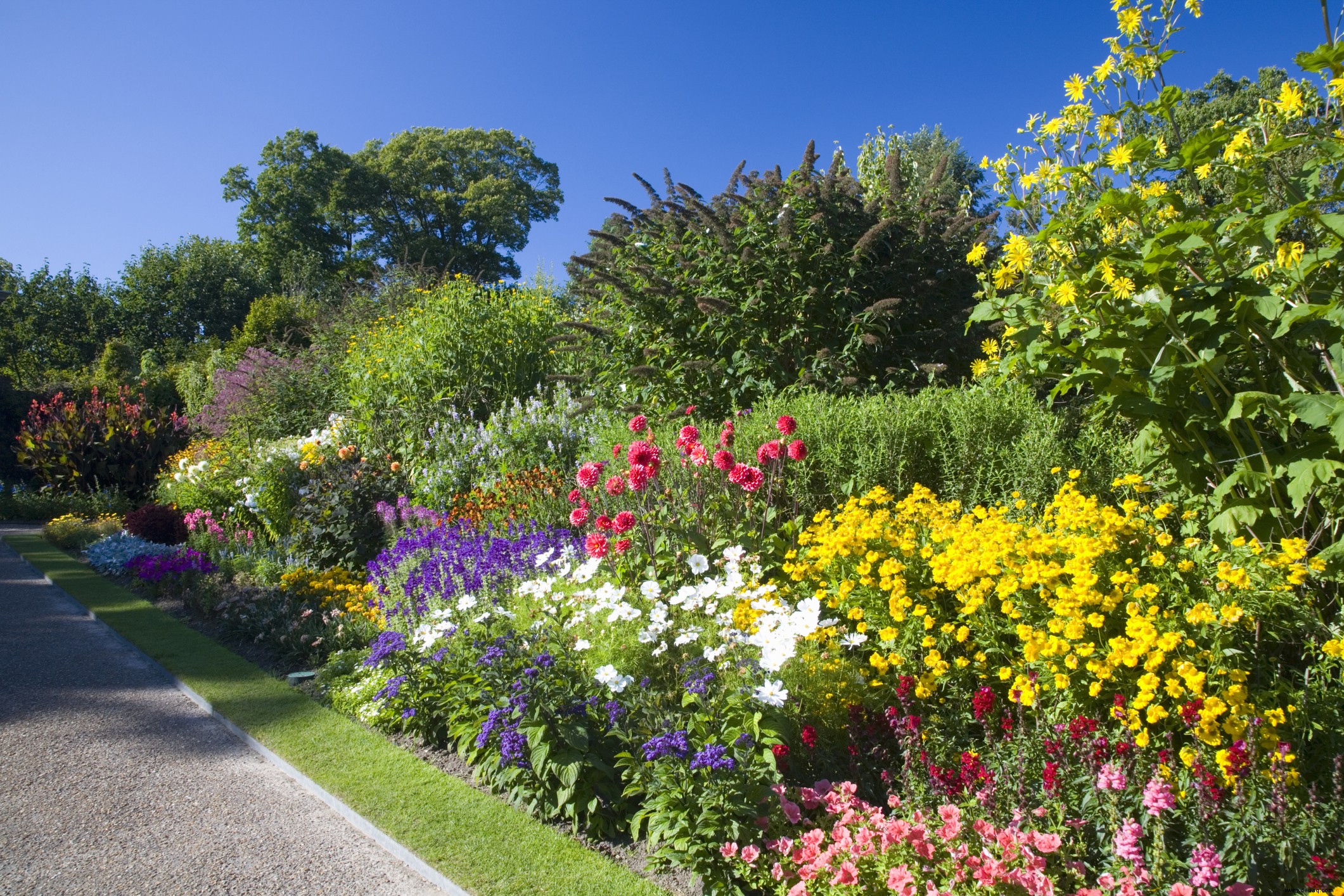 Containergartenführer:Blumenfarbschemata 