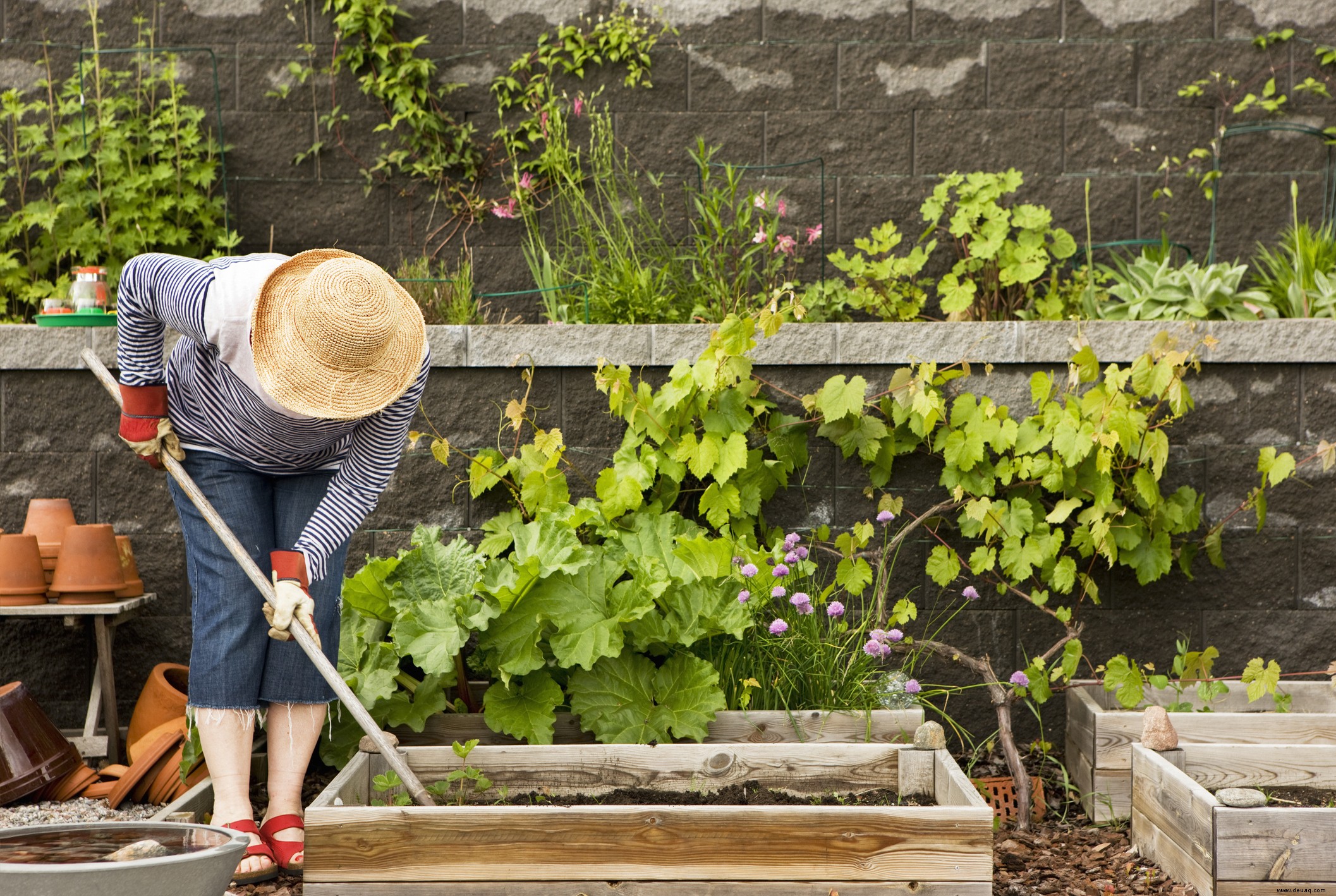 Die besten Gartentipps – Ihr ultimativer Ratgeber 