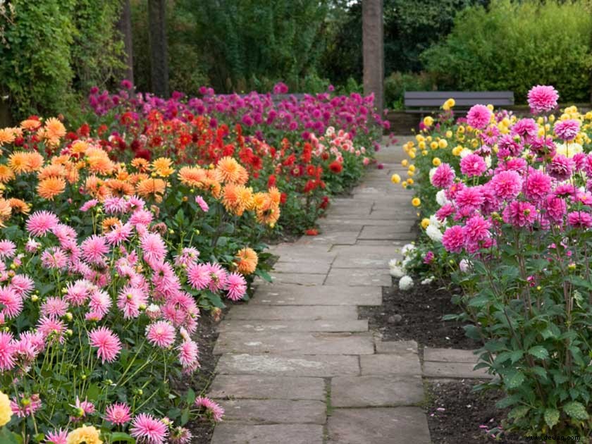 So pflegen Sie Ihren Garten jeden Monat des Jahres 