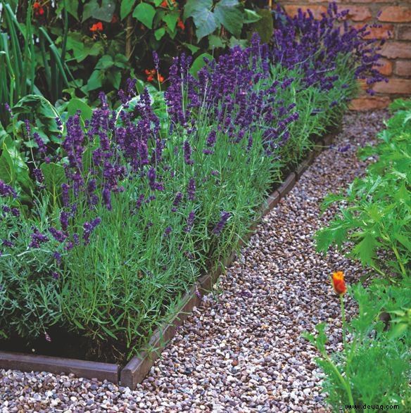 10 Top-Tipps für die Planung einer Gartengestaltung 