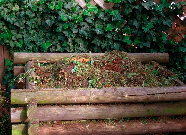Was im Januar im Garten zu tun ist 