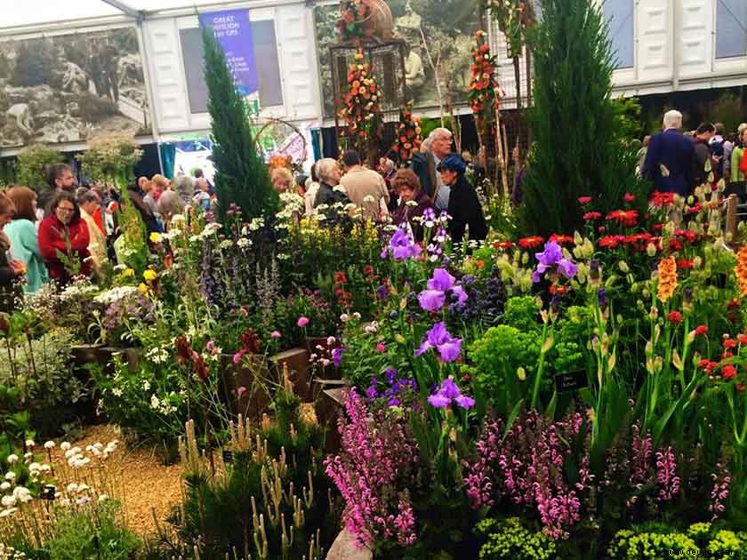 Die Chelsea Flower Show ist eine solche Garteninspiration 