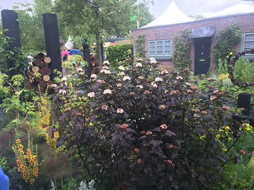 Die Chelsea Flower Show ist eine solche Garteninspiration 