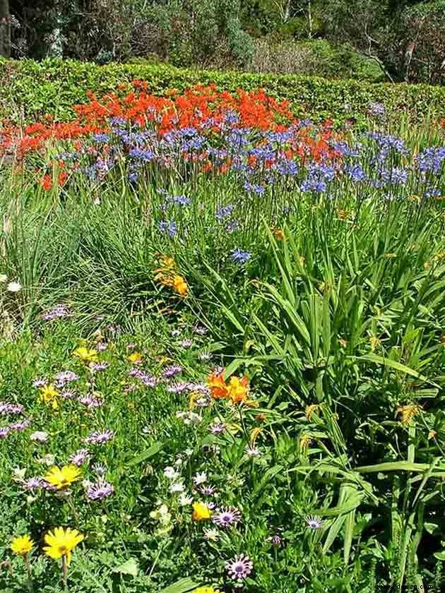 Zu besuchende Gärten:Schottland ist spektakulär 
