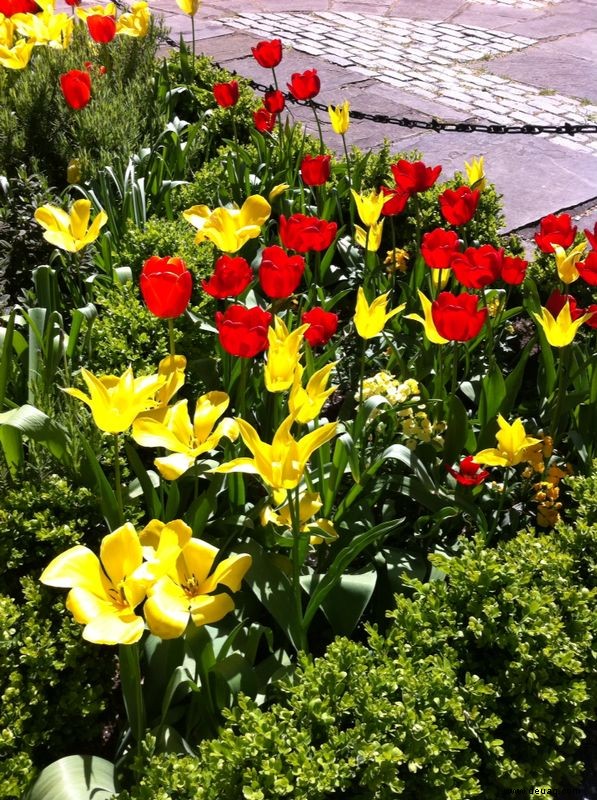 Was tun im Garten im Mai 