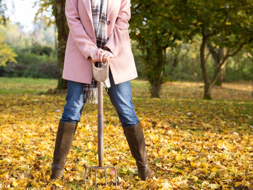 Seien Sie im Garten wetterfest 