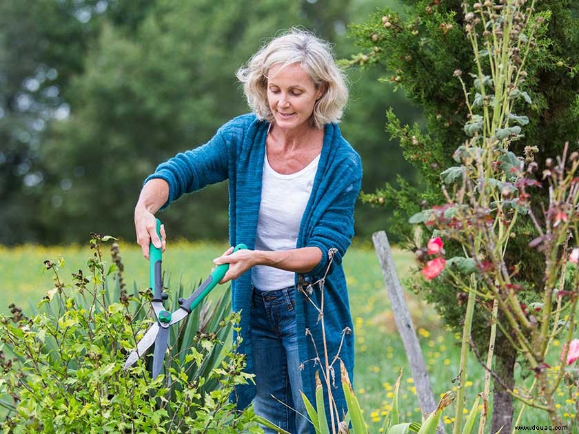 Gartenarbeit und Gesundheit:Die mentalen Vorteile 