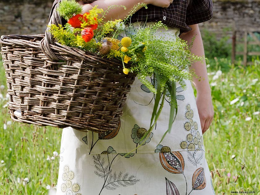 Präriegarten:Was zu pflanzen 