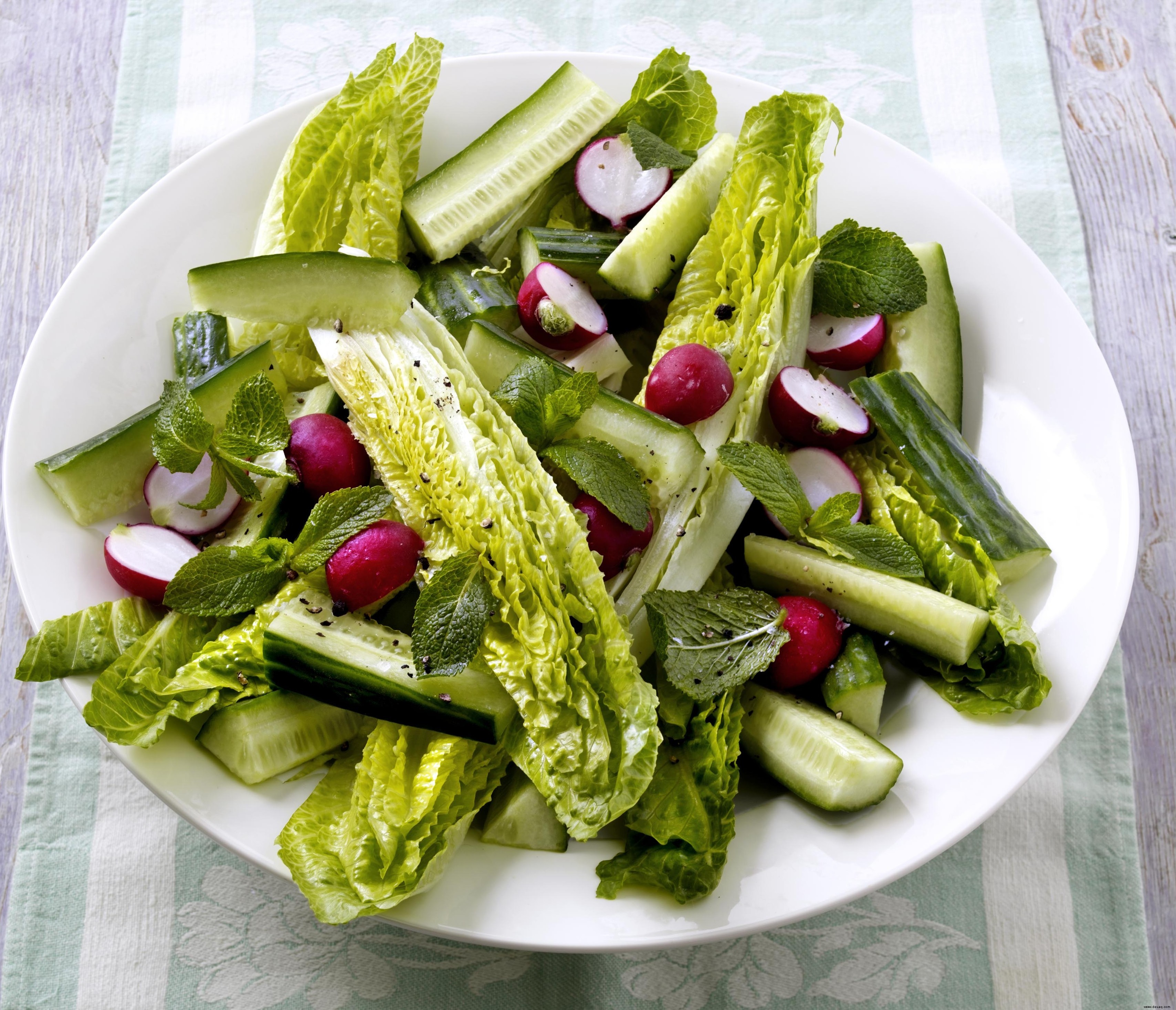 Klumpiger englischer Gartensalat 