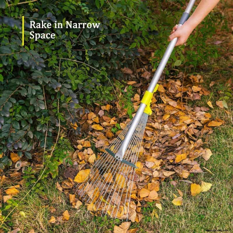 Ein Frühlingsgarten Starthilfe in 12 einfachen Schritten 