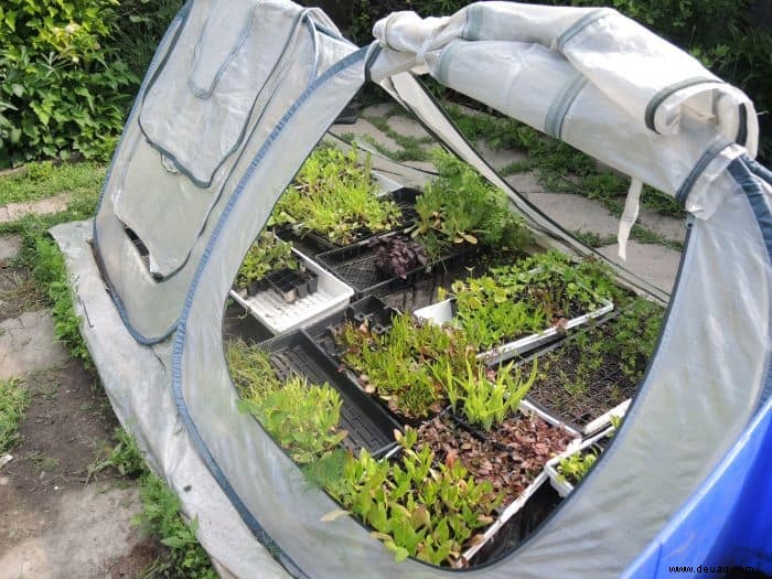 Ein Frühlingsgarten Starthilfe in 12 einfachen Schritten 