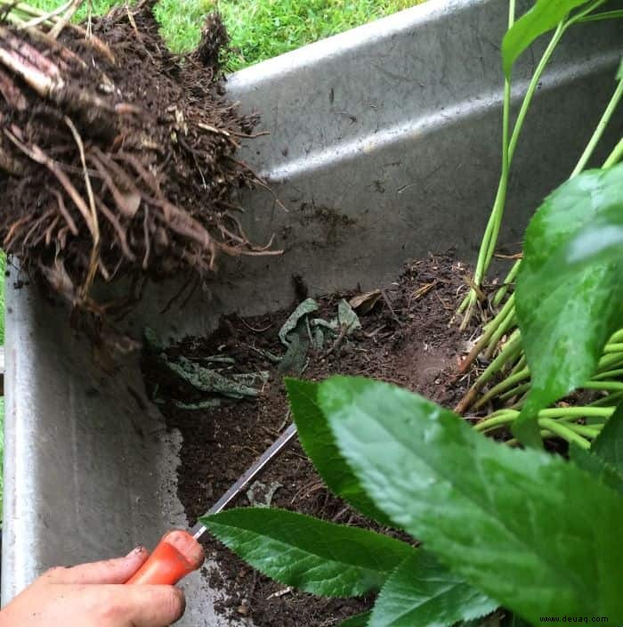 Ein Frühlingsgarten Starthilfe in 12 einfachen Schritten 