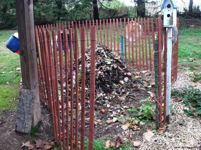 Ein Frühlingsgarten Starthilfe in 12 einfachen Schritten 