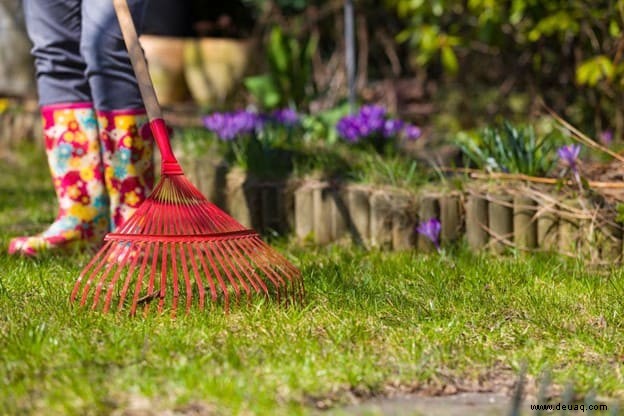 Tipps zur Rasenpflege im Frühjahr 