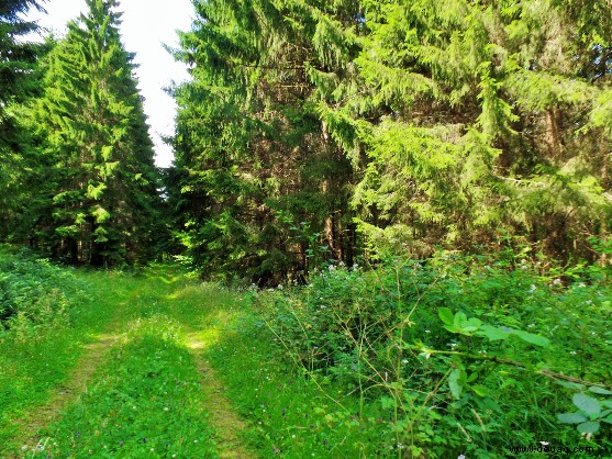 6 Dinge zu tun, wenn Sie nach Schweden gehen 