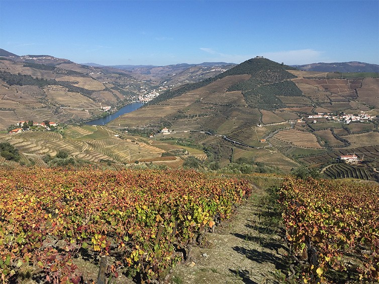 Top-Städte in Portugal:Orte, über die es sich zu sprechen lohnt 