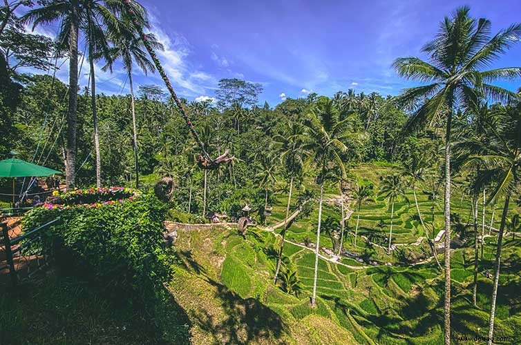 Fügen Sie Bali so schnell wie möglich zu Ihrer Bucket List hinzu:Hier ist der Grund 