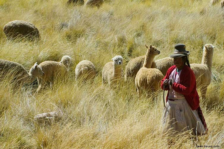 10 Dinge, die Sie über Reisen nach Peru nicht wussten 