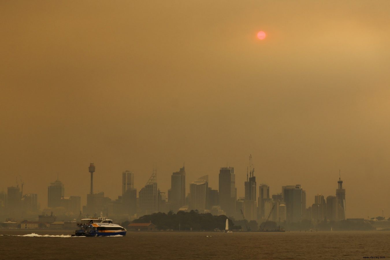 10 Möglichkeiten, die australische Waldbrandhilfe zu unterstützen – auch wenn Sie nicht spenden können 