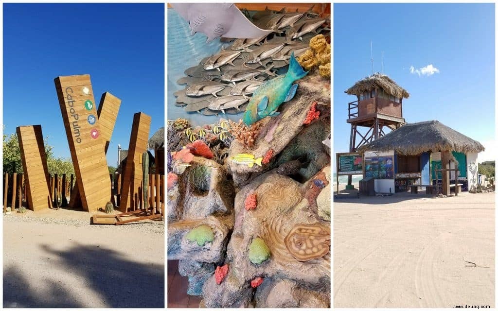 Baja Road Trip:Walhaie, Mezcal und Hotel California 