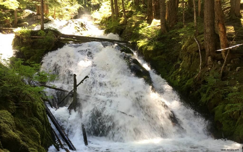 6 Gründe, warum Schneeliebhaber Mt. Hood, Oregon, besuchen müssen 