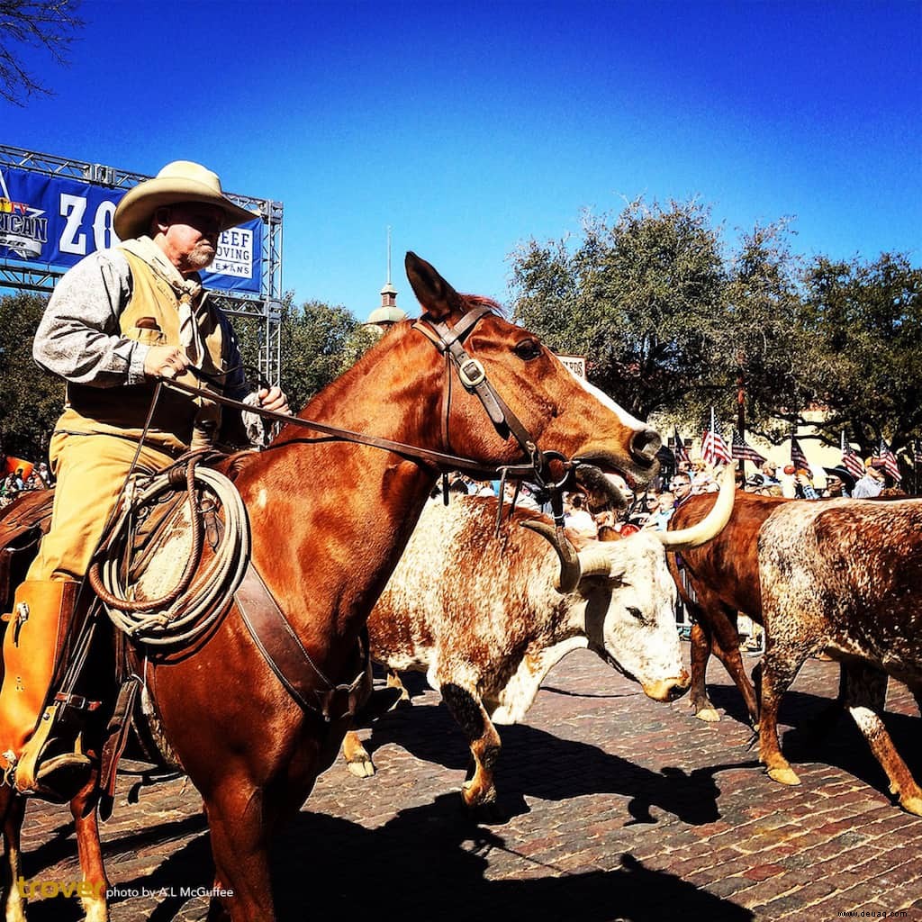 Dies ist der ultimative Texas Road Trip 