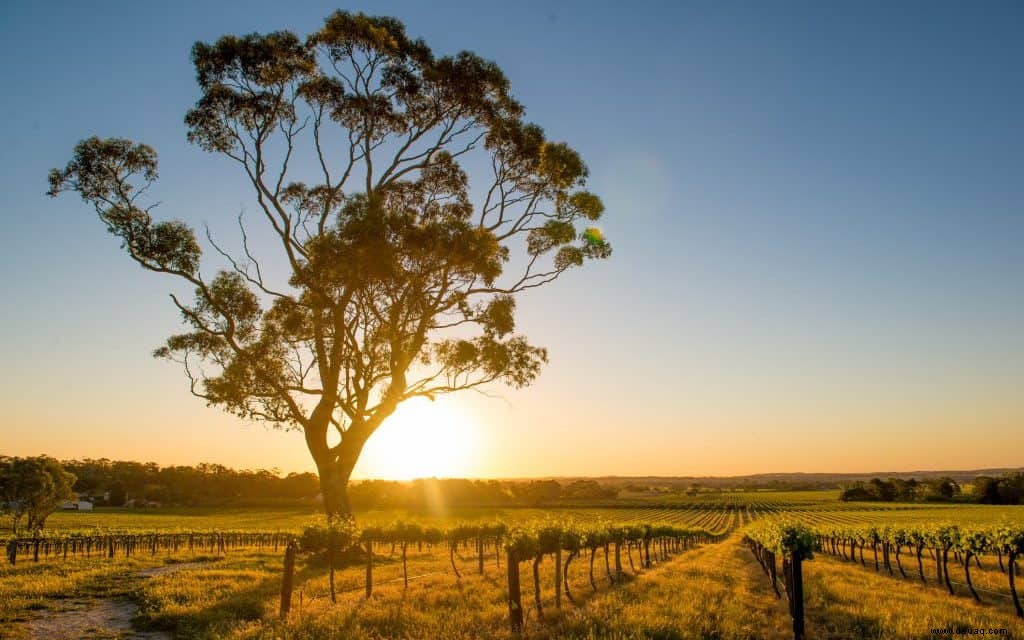 15 Dinge, die jeder in Australien tun sollte 