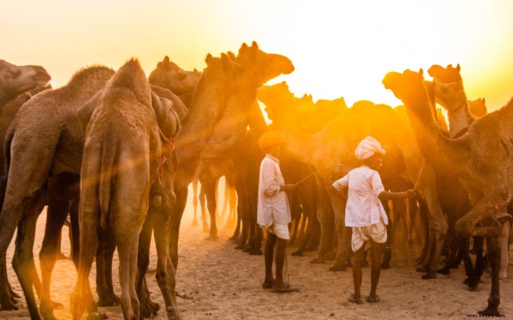 Fünf erstaunliche Orte in Indien zu besuchen 