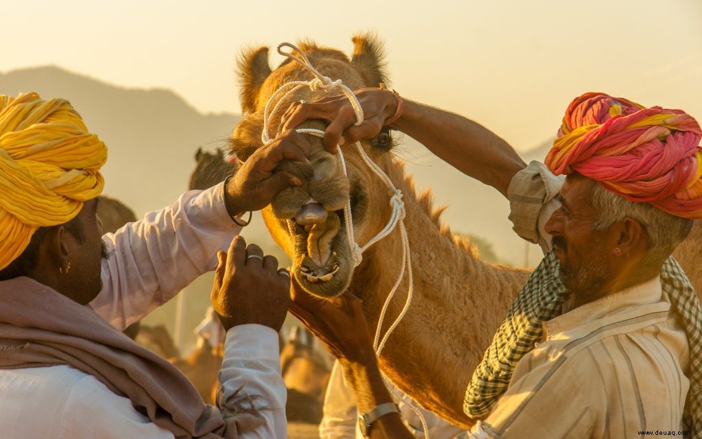 Fünf erstaunliche Orte in Indien zu besuchen 