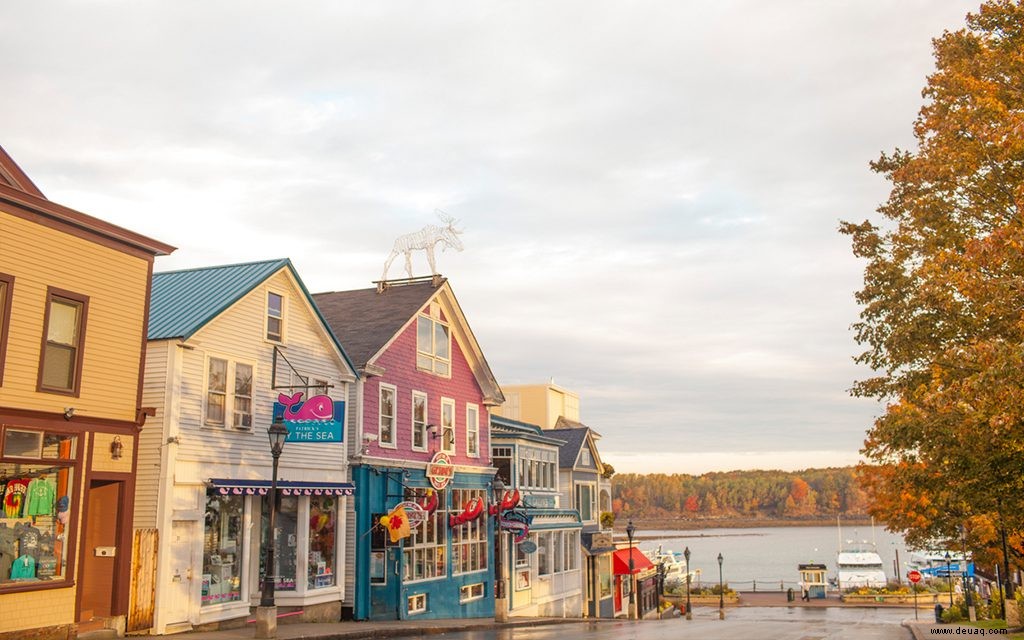 Lobsta und Leuchttürme:Der ultimative Road Trip an der Küste von Maine 