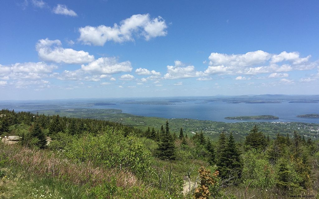 Lobsta und Leuchttürme:Der ultimative Road Trip an der Küste von Maine 