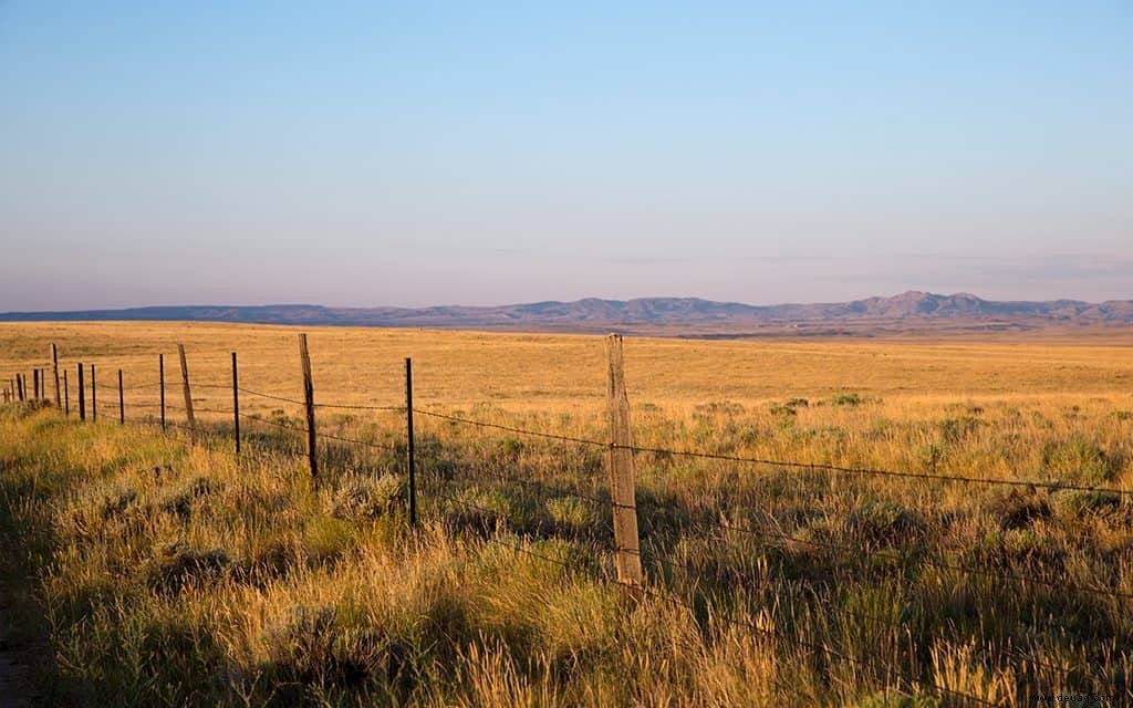 5 Gründe, Wyomings Wild West Ways zu lieben 