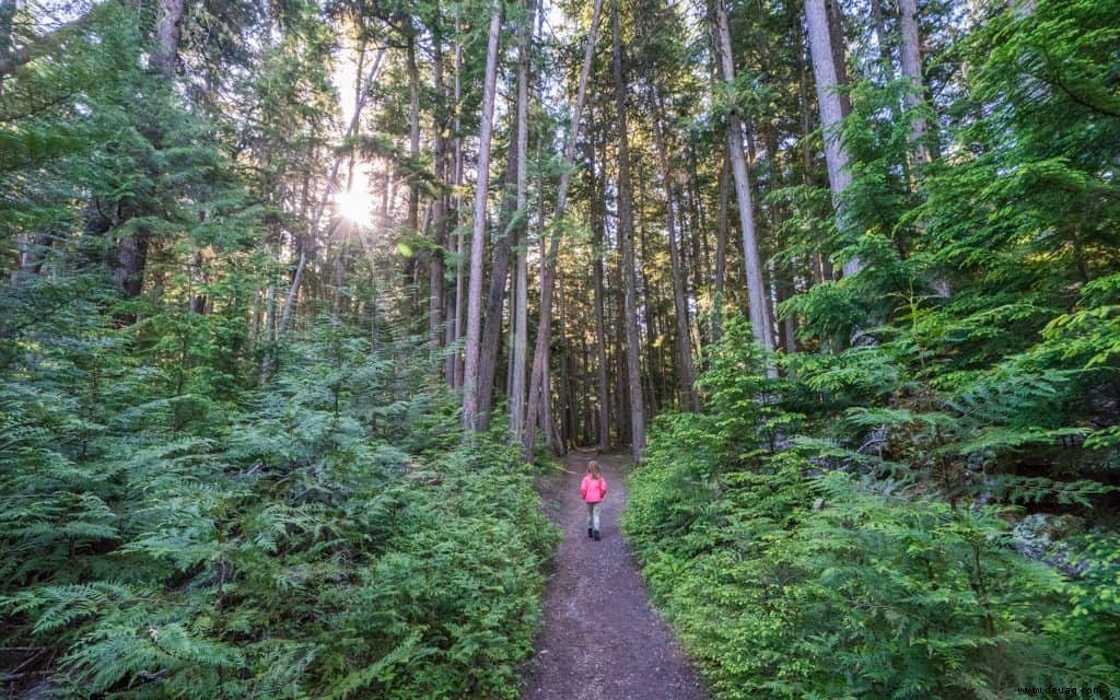 5 überzeugende Gründe, diesen Sommer den Glacier National Park zu besuchen 