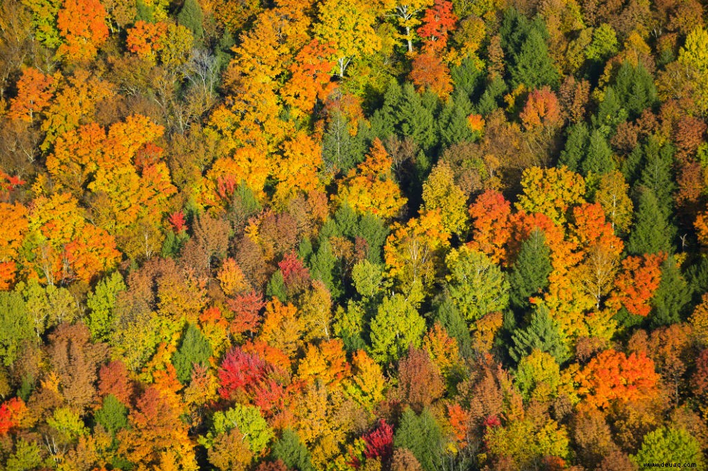 Die 7 schönsten Wanderungen für diesen Herbst 