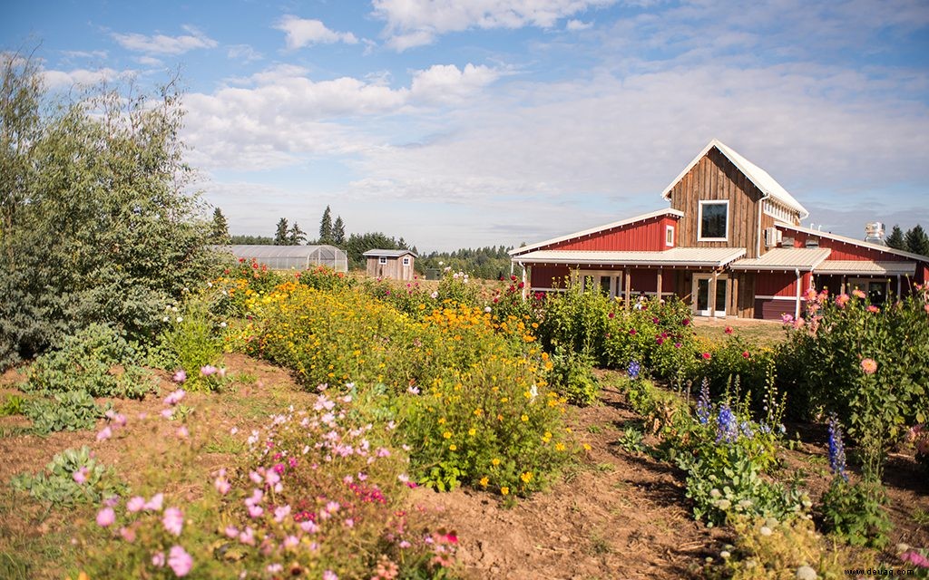 8 perfekte Portland-Tagesausflüge 