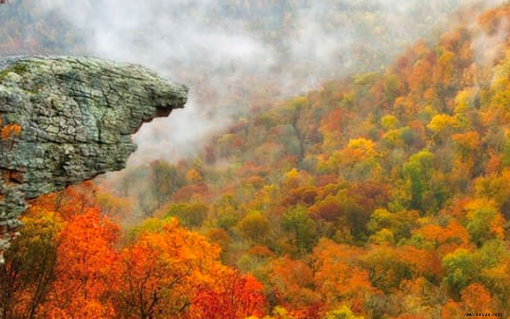 7 Orte, an denen Sie sich diesen Herbst atemberaubendes Laub ansehen können 