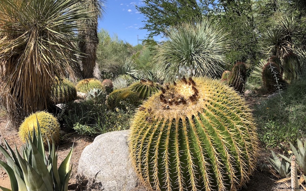 5 unglaubliche schneefreie Tagesausflüge im Winter ab Phoenix, Arizona 